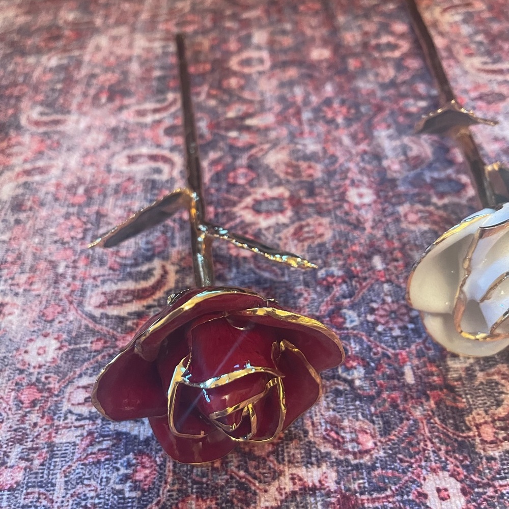 Roses๐น๐ฅ๐ - Picture 7 of 11